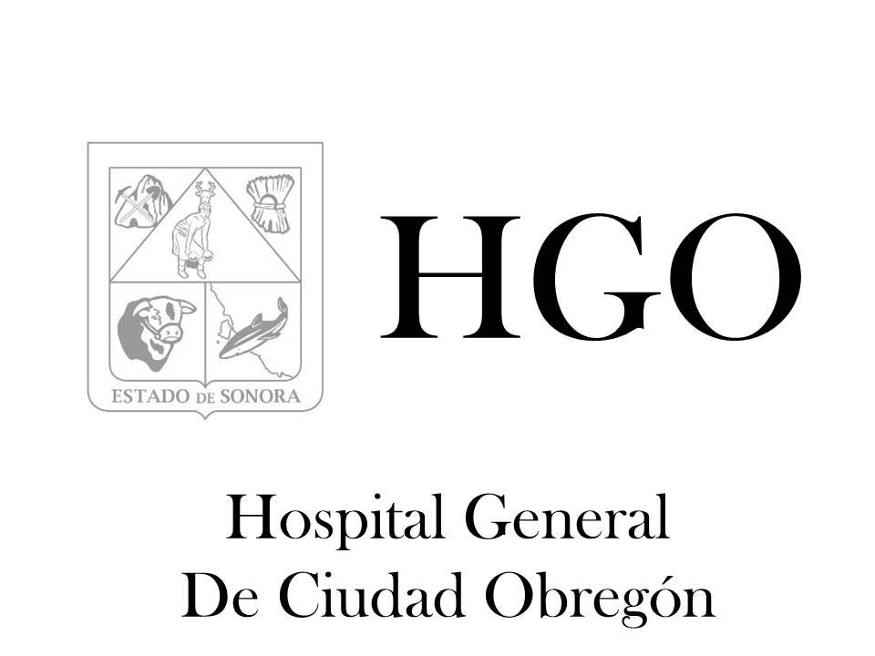 Logo HGO