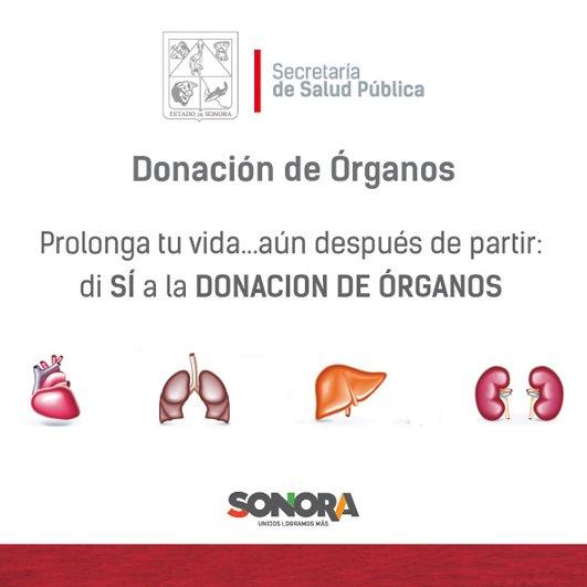 Donación de organos